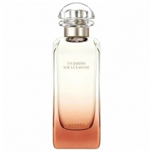 Hermes Un Jardin sur la Lagune EDT (U) 100 мл
