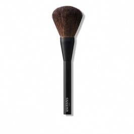 Powder brush 200000 