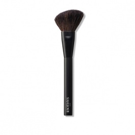 Blush brush 200002 