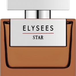 Парфюмерная вода ELYSEES STAR EDP 100 ML УТ-00000011