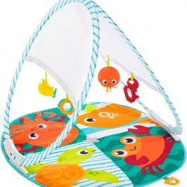 Портативный Центр Гимнастики Fisher Price Colorful Friends Fc15