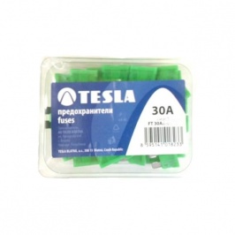 Predoxranitel Tesla 30A (FT00.030.100)