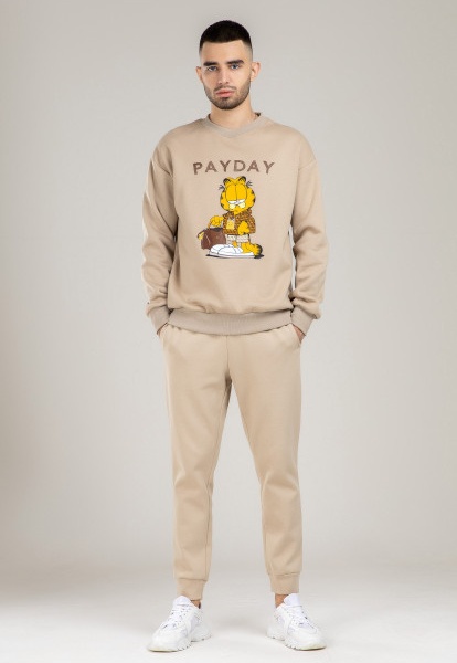 Толстовка Короткая Длина Terra Pro, для мужчин, хлопок Beige L AW21CA2N ...