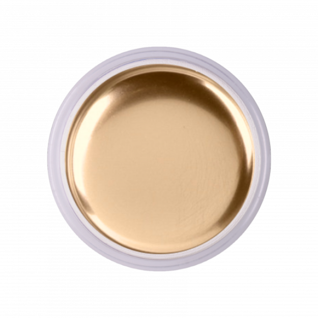 Gel Paint CHROME Oltin 5G 5G IVN-GP-CG