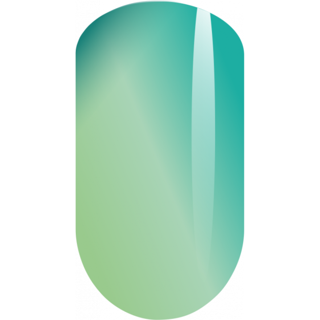 Pavlin № 1 8ml gel-lak IVN-PN-1