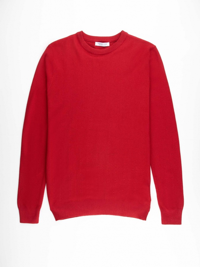 Jumper uzun yeng Terra Pro, erkaklar uchun, paxta AW20CA2N-29-13-8900
