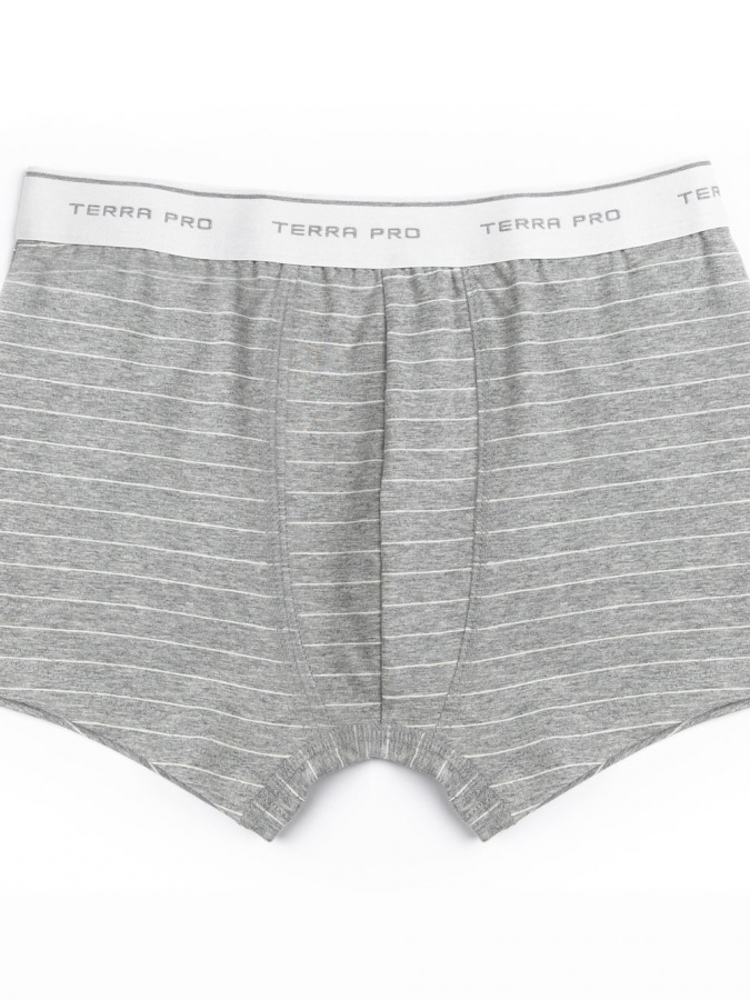Трусы trunk Grey S AW22NS4N-44-12038
