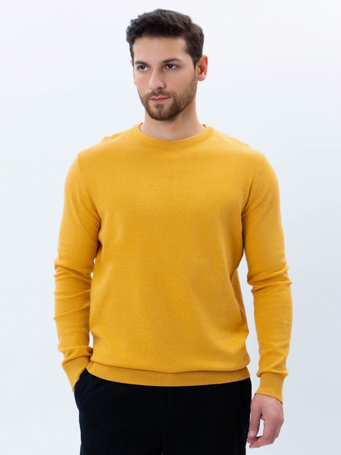Jumper uzun qisma Terra Pro, erkaklar uchun, paxta sariq XXL  AW21CA2N-29-10744