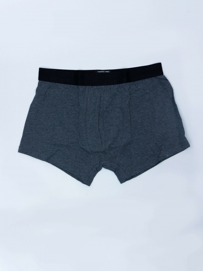 Трусы trunk Grey XXL AW23NS4N-44-19231