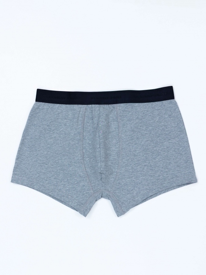 Trunk Grey m ichki kiyimlari  AW24CR4-44-20412