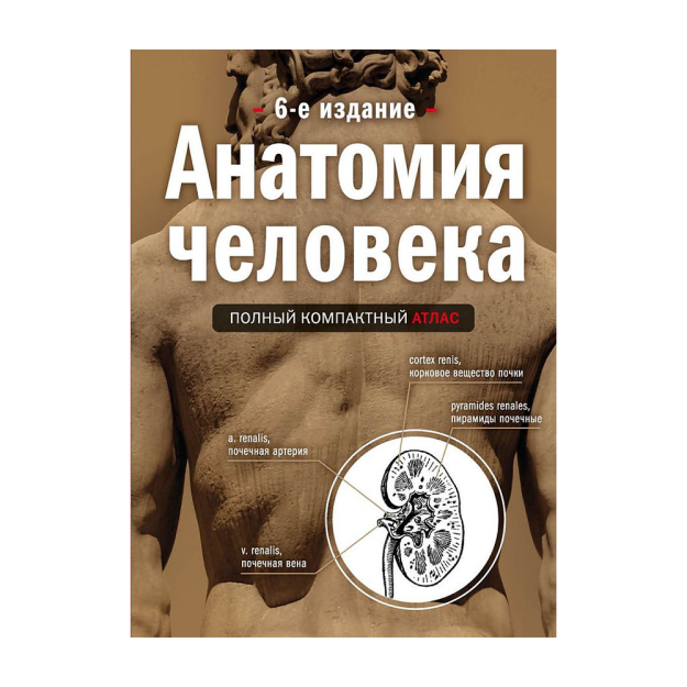Inson anatomiyasi: to'liq ixcham atlas. 6-nashr 148x112x36 74941