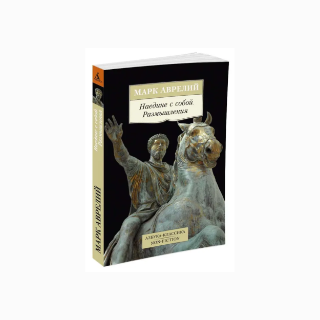 Наедине с собой. Размышления 93003