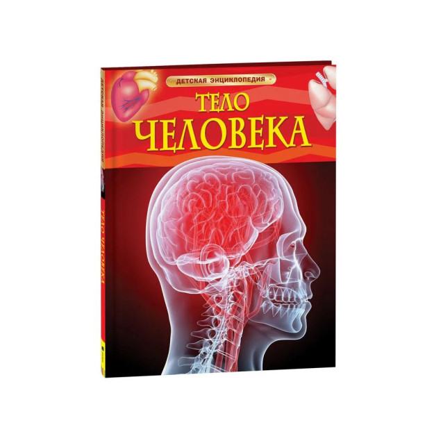 Тело человека. Детская энциклопедия 58403
