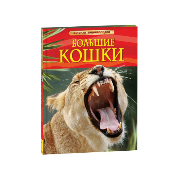 Bolalar entsiklopediyasi. Katta Mushuklar 196x255 57550
