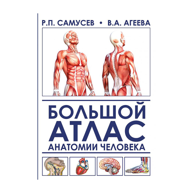 Inson anatomiyasining katta atlasi 17x206x264 27930