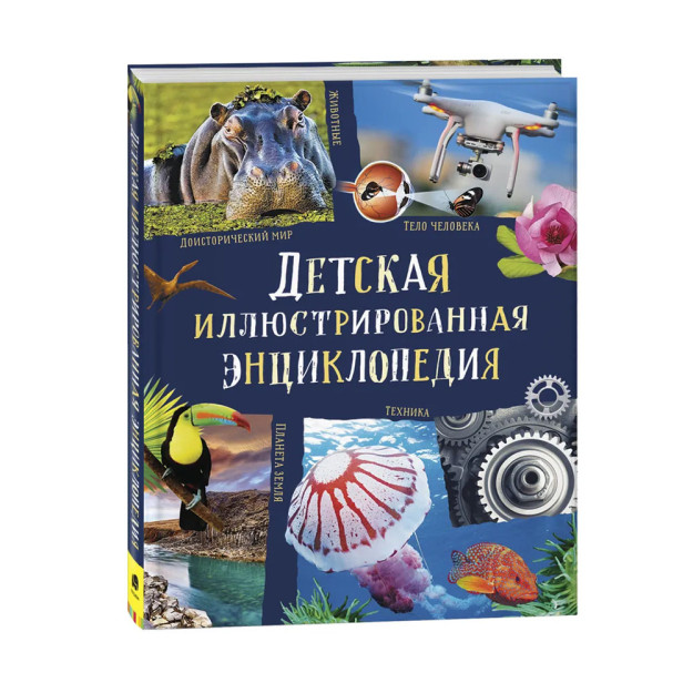 Детская иллюстрированная энциклопедия (нов.) 98362