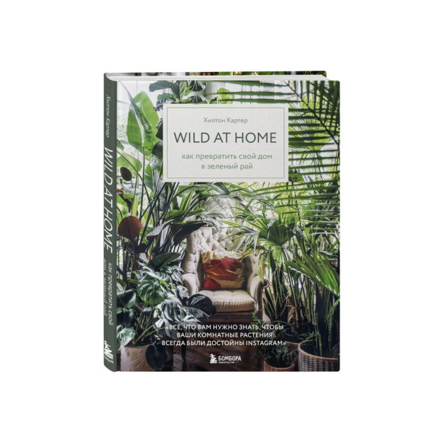 Wild at home. Uyingizni qanday qilib yashil jannatga aylantirish mumkin   26165