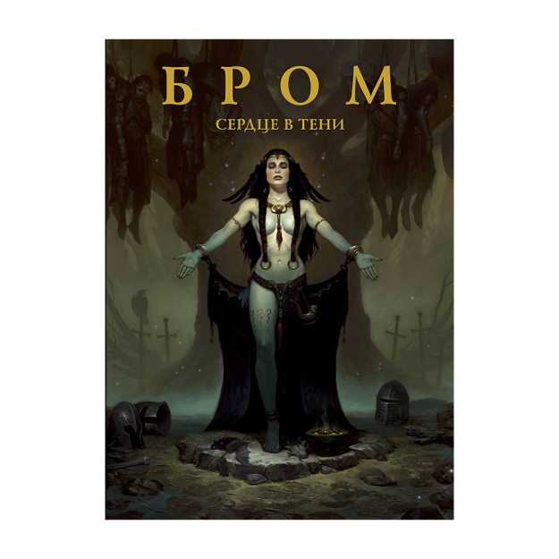 Brom: soyada yurak 22x220x289 20597