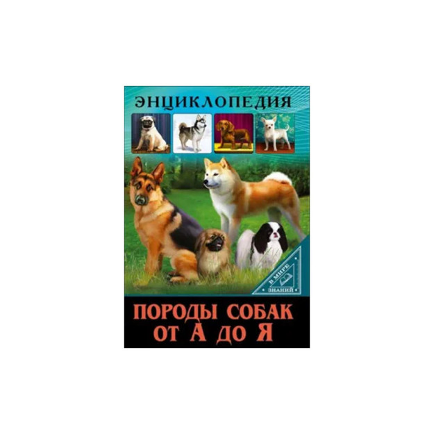 Ensiklopediya. BILIM DUNYOSIDA. A DAN Z GACHA IT ZOTLARI 76059