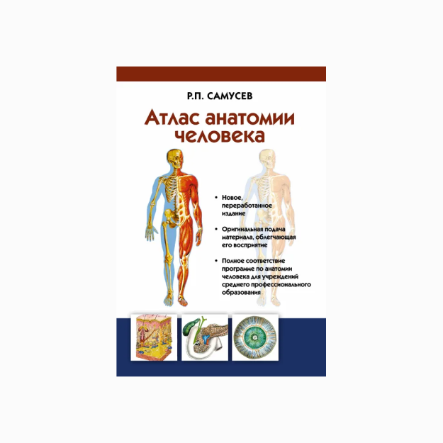 Атлас анатомии человека. Учебное пособие 39476