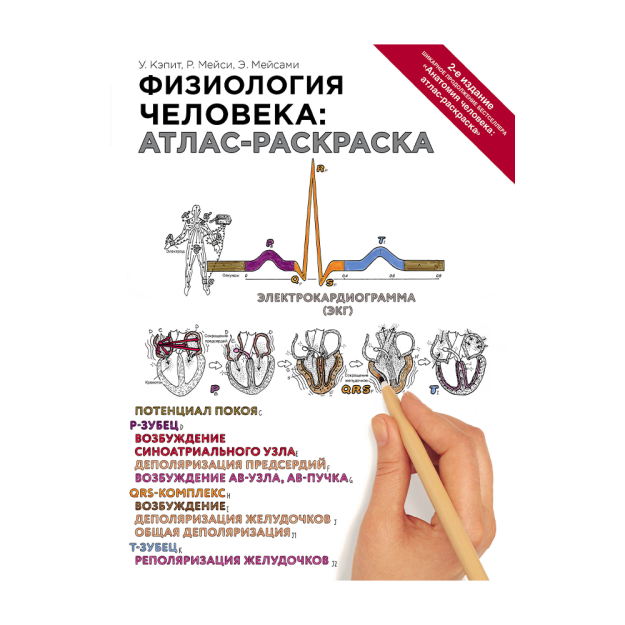 Inson fiziologiyasi: atlas-rang berish 289x217x23 07649