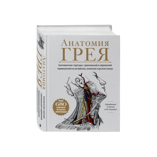 Анатомия Грея. Анатомические структуры с оригинальной и современной терминологией на английском, латинском и русском языках 40486