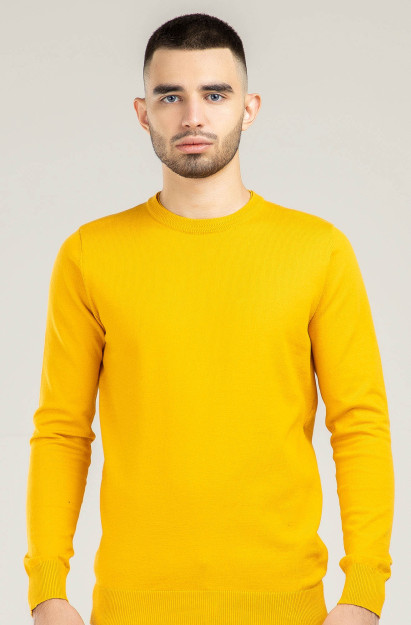 Jumper uzoq qisma Terra Pro, erkaklar uchun, paxta sariq S SS21CA2N-29-15-9608
