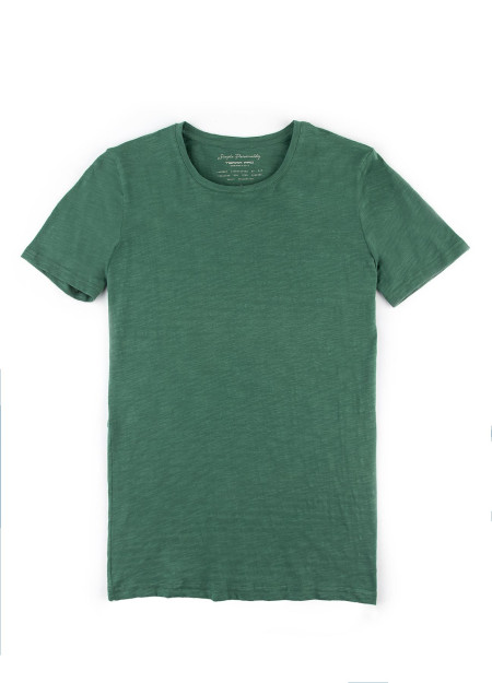 T-shirt qisqa qisma Terra Pro, erkaklar uchun, paxta yashil S SS20CA2N-25-20-7711