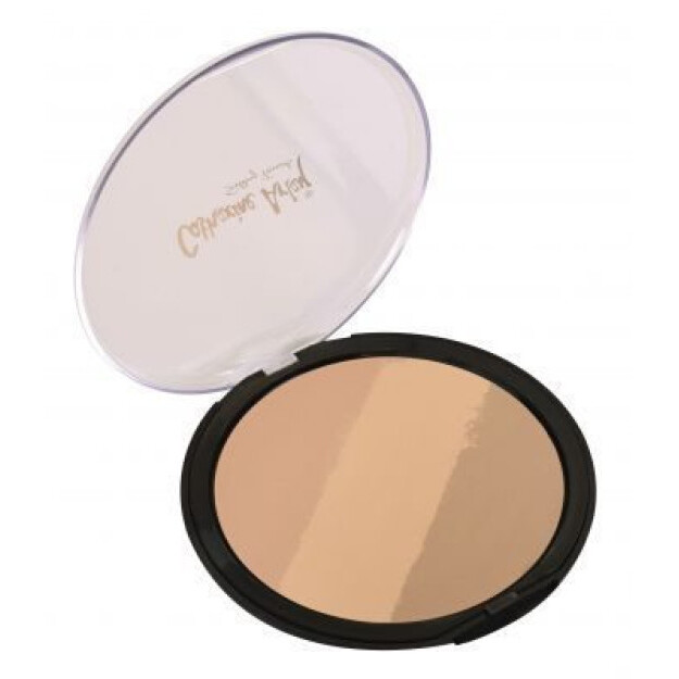 CA S.T. TRIO POWDER 1169  УТ-00003631
