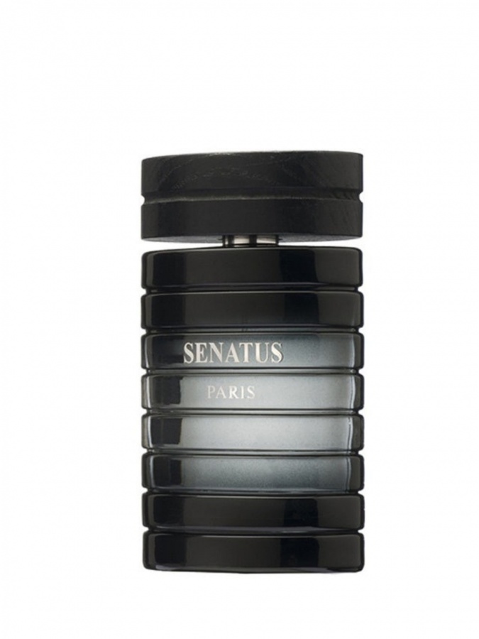 Parfyum suvi SENATUS BLACK EDP 100 ML  УТ-00000022