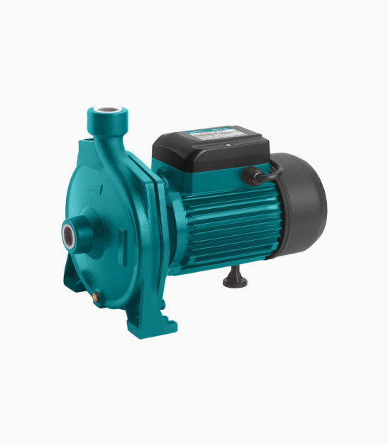 Pollwon santrifüj nasosi PW158 - 158 750W 20914 Brandtools20914