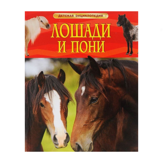 Лошади и пони. Детская энциклопедия 68990 263х203х5