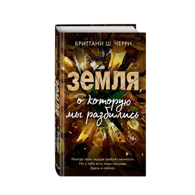 Sevgining 4 elementi. Biz qulagan yer (#4) 208x135x28 26292
