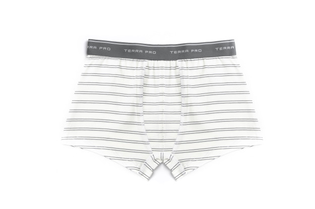 Трусы trunk White S AW22NS4N-44-12039