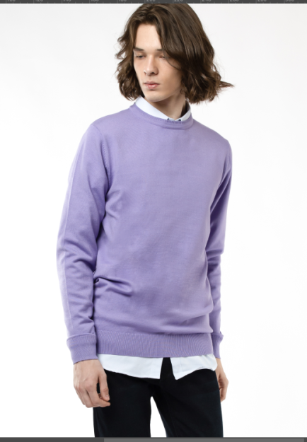 Jumper uzun qisma Lilac M  AW22CA2N-29-11994