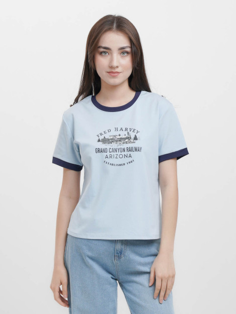 Футболка 3971 freesize arizona голубой