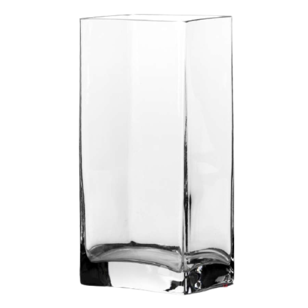 Gullar uchun vaza PSB BOTANICA 43073 1 dona 1x4 24301 gipermag24301