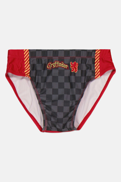 Griffindor o'g'il bolalar uchun slip külot, to'q kulrang / Bordo