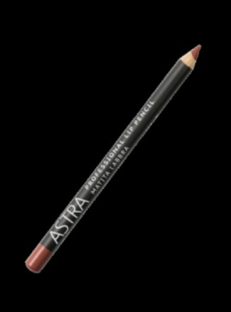 Карандаш для губ PROFESSIONAL LIP PENCIL (1,1g) 00008210034