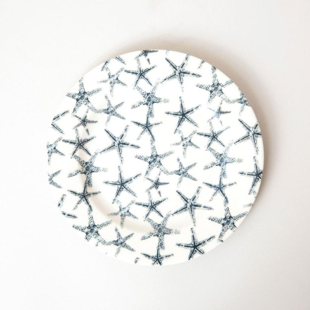 Seastar 20 sm standart pirog plastinkasi