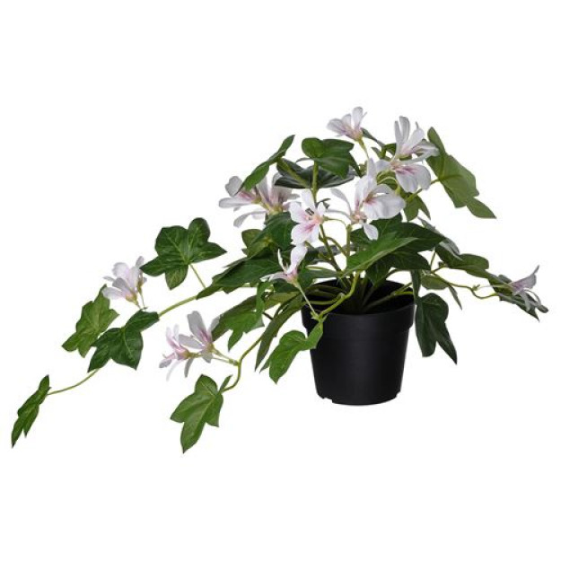 Soxta pelargonium gul pushti 405.380.08