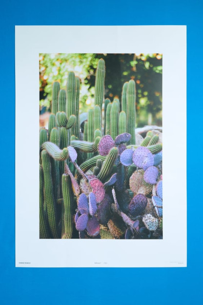 FON RASMI * OJAI FOTOSURATI PLAKATI