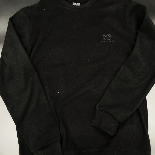 Свитшот с надписью Zingal Riche MWSVIT2 3XL