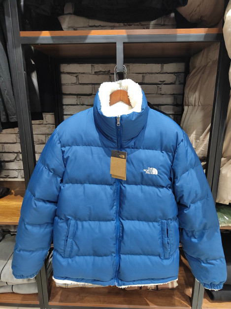 Erkaklar Kurtkasi The North Face ART OL 809 M