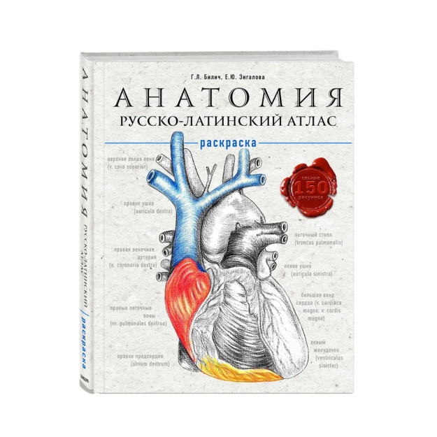 Анатомия: русско-латинский атлас-раскраска 98142