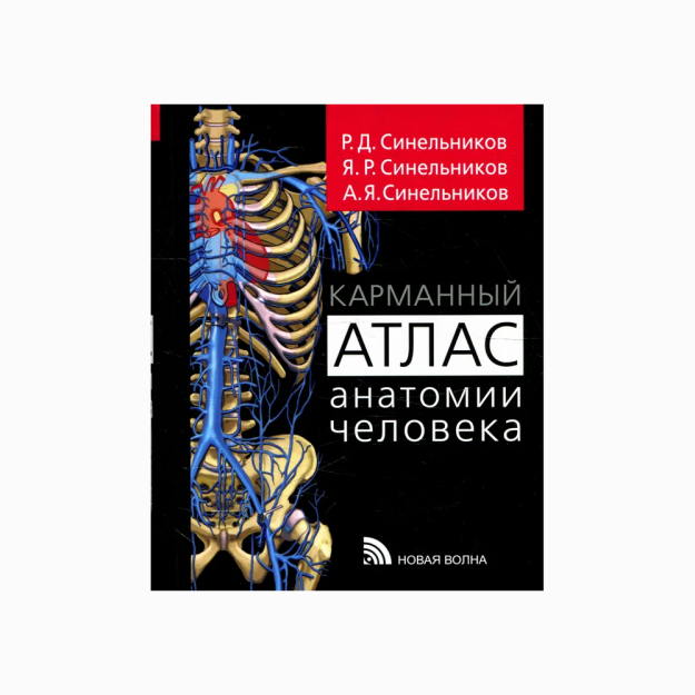 Inson anatomiyasining cho'ntak atlasi   03603