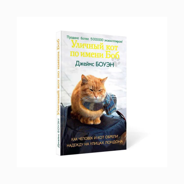 Xususiy porno rasmlar toplamlari