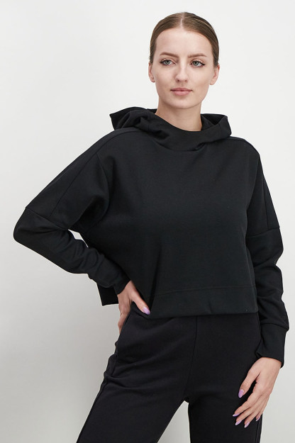 Britni Spearsning mushuki va uning uy qurilishi videolari Ayollar olomon bir qolini silkitib tashlashadi